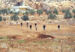 Israeli Settlers Rampage Through West Bank Villages Burning Homes, Cars, and Harvests Picture